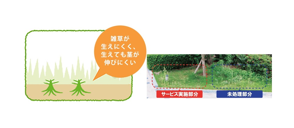 サービス内容