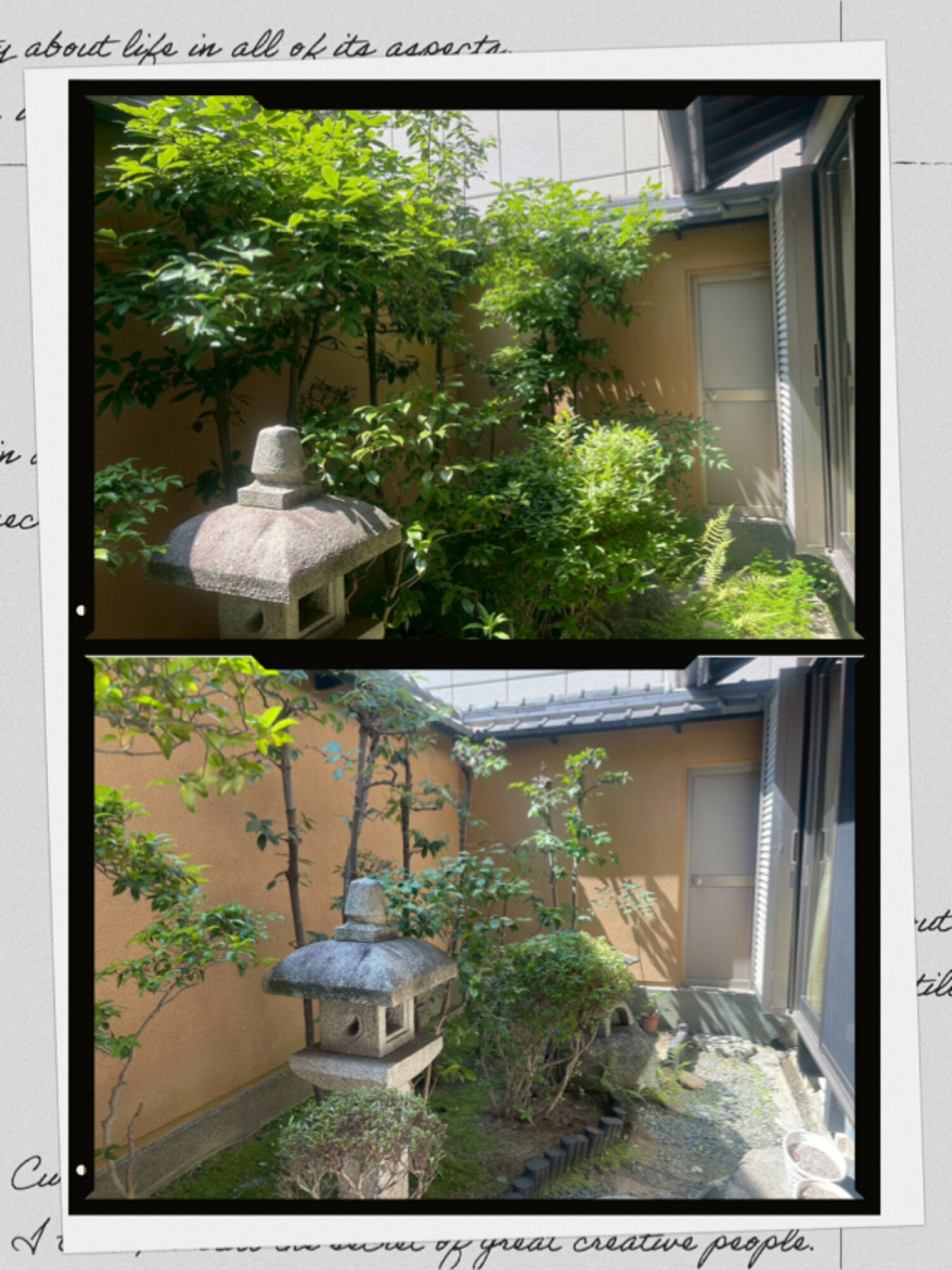 中庭の植木剪定も！