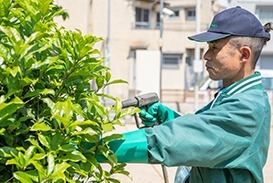 ターミニックス事業