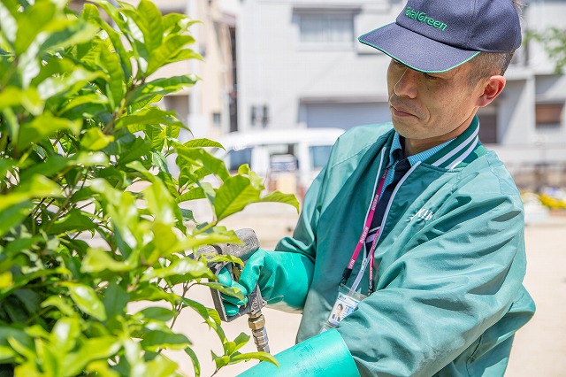 お庭のお手入れ